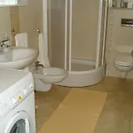 Pipo